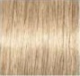 Стойкая крем-краска для волос Indola Professional (1887352, 1000.18, розовый блонд, 60 мл, Блонд Эксперт)
Стойкая крем-краска для волос Indola Professional (1887352, 1000.18, розовый блонд, 60 мл, Блонд Эксперт)