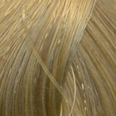 Londa Color New - Интенсивное тонирование (81455445, 8/3, светлый блонд золотистый, 60 мл, Blond Collection)