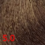 Крем-краска для волос Born to Be Colored (SHBC5.0, 5.0, Светло-каштановый, 100 мл)