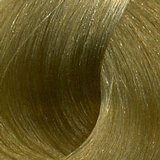 Безаммиачный стойкий краситель для волос с маслом виноградной косточки Silk Touch (729537, 10/31, светлый блондин золотисто-пепельный , 60 мл, Коллекция светлых оттенков, 60 мл)