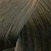 Londa Color New - Интенсивное тонирование (81455433, 6/37, тёмный блонд золотисто-коричневый, 60 мл, Base Collection)