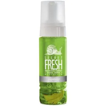 Пенка мицеллярная тонизирующая с муцином, имбирем и женьшенем Secret Fresh Premium 170 мл