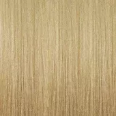 Illumina Color - Стойкая крем-краска (81639682, 10/93, Яркий блонд золотистый сандре, 60 мл, Холодные оттенки)