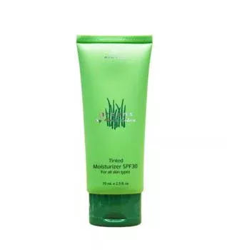 Увлажняющий дневной тональный крем с СЗФ 30 Камелия Greens Camellia Tinted Day Cream SPF30 Anna Lotan