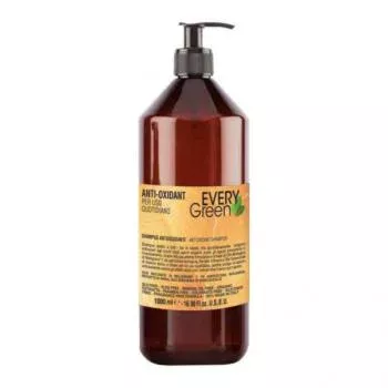 Антиоксидант шампунь Anti-oxidant Shampoo Antiossidante Dikson