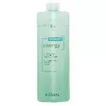 Интенсивный энергетический шампунь с ментолом Purify-Energy Shampoo