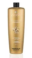 Стабилизирующий шампунь Inimitable Color Post Treatment Shampoo Hair Company Professional