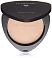Пудра для лица с бронзовым эффектом Bronzing Powder