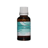 Концентрат с эфирными маслами Циркуляция Ondevie