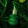 Витаминизированные лифтинг-капли Greens Vital Lifting Fluid