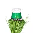 Ночной крем Greens Replenishing Balm