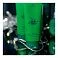 Увлажняющий дневной тональный крем с СЗФ 30 Камелия Greens Camellia Tinted Day Cream SPF30