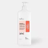 Восстанавливающий шампунь для поврежденных волос Amino Treatment Repair Shampoo Brelil