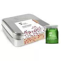 Лосьон против выпадения волос Keraplant Nature Anti-Hair Loss Treatment Lisap Milano