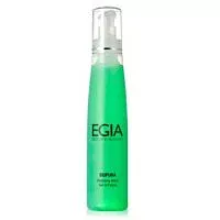 Очищающий гель Cleansing Wash Egia