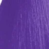 Пигмент прямого действия для волос Color Flames (38106600, 06, Violet, 300 мл)