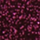 Пудра Glitter Powder (96114, ., 3,5 г, Goth Garnet)