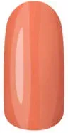 Гель-лак для ногтей NL (001560, 1302, апельсиновый чай, 6 мл)