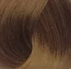 Перманентная крем-краска для волос Demax (8703, 7.03, русый золотистый, 60 мл, Базовые оттенки)