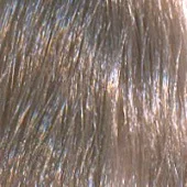 Стойкая крем-краска для волос ААА Hair Cream Colorant (AAA10.12, 10.12, очень очень светлый пепельно-фиолетовый блондин, 100 мл, TREND — коллекция)