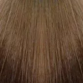 Illumina Color - Стойкая крем-краска (81639562, 7/, блонд, 60 мл, Нейтральный оттенки)
