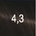 Демиперманентный щелочной краситель The Present Time (65019, 4.3, шатен золотистый, 100 мл)