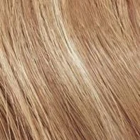 Перманентный краситель-лак Color Gels Lacquers (P1599200, 8GN, плющ, 60 мл)