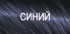 Демиперманентный щелочной краситель The Present Time (65058, 65058, Синий, 100 мл)