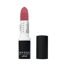 Помада для губ матовая Immoral Mat Lipstick (2248R24-017, N.17, Layla Touch, 4 г)