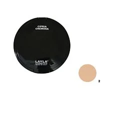 Крем-пудра для лица Top Cover Creamy Powder (2331R27-002N, N.2, N.2, 1 шт)
