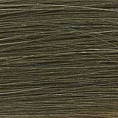 Стойкая краска для волос Topchic в тюбике (01905, 8N@BS, светлый блонд с бежево-серебристым сиянием (бежевая патина), 60 мл)