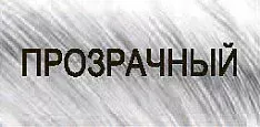 Демиперманентный щелочной краситель The Present Time (65055, 00, Осветляющий бустер, 100 мл)