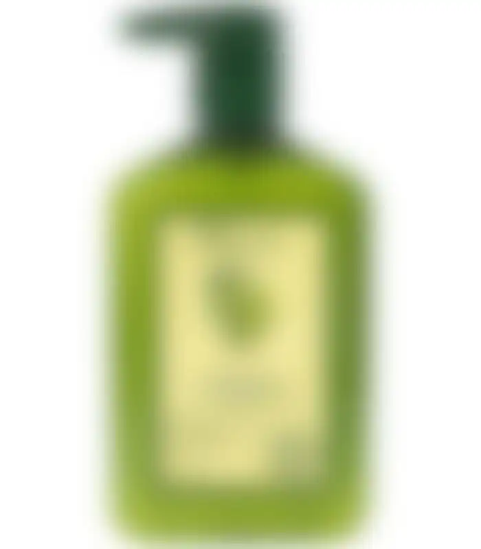 Шампунь для волос и тела Olive Organics