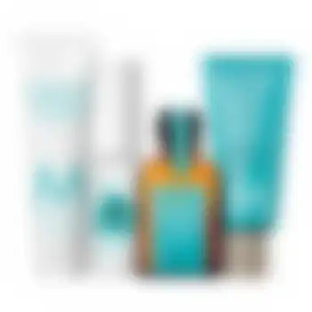 Дорожный набор Body Moroccanoil 1 шт