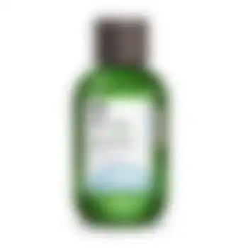 Очищающий шампунь для волос против перхоти Keraplant Nature Anti-Dandruff Shampoo Lisap Milano