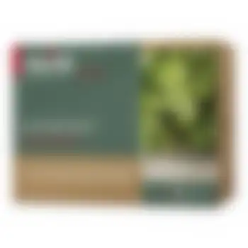 Энергетический лосьон Green Type стимулирующий рост волос Phitocomplex Energizing Dott.Solari 13*6 мл