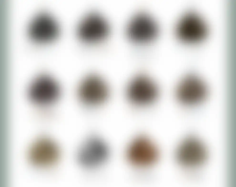 33.PNG
