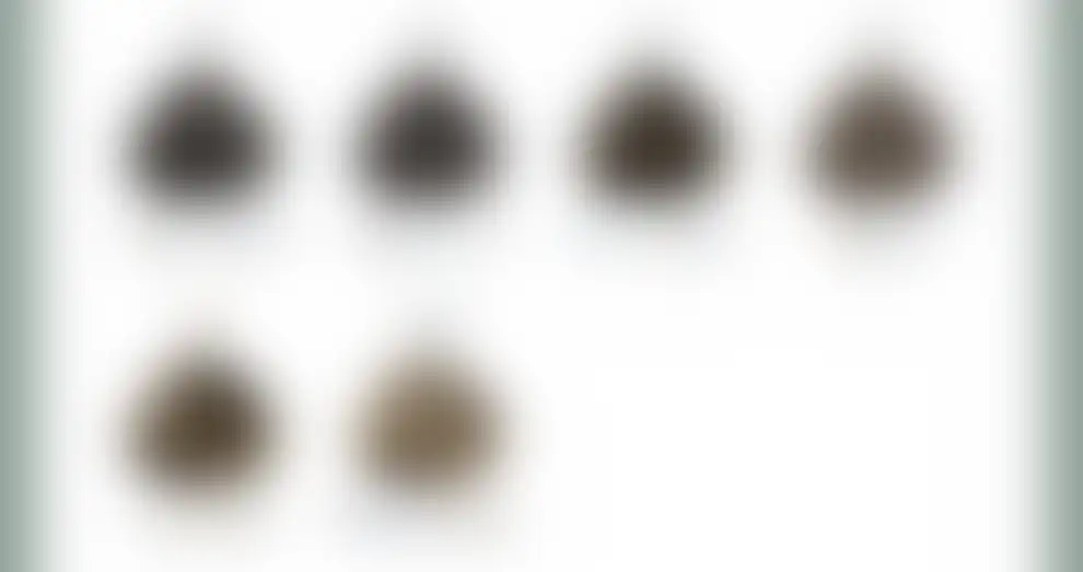 11.PNG