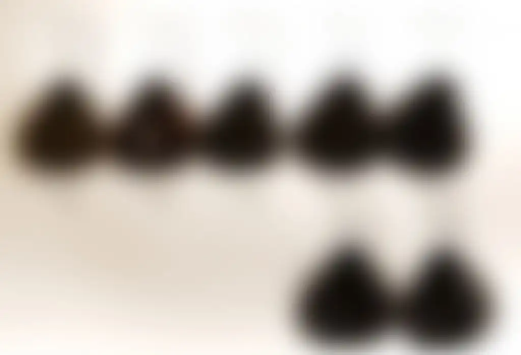 Kes MarronChestnut Colors.jpg