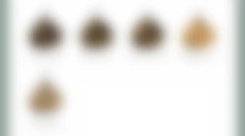 66.PNG
