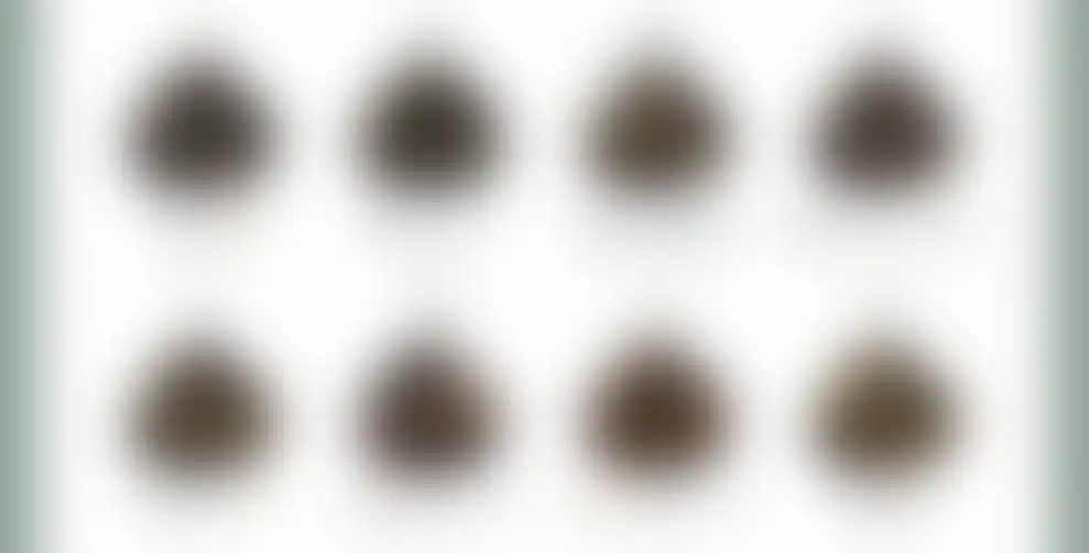 55.PNG