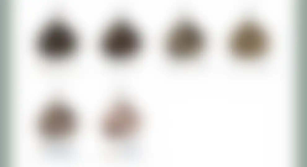 44.PNG