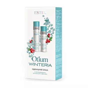 Набор 2 Winteria Estel