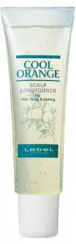 Кондиционер очиститель Cool Orange Lebel 130 г
