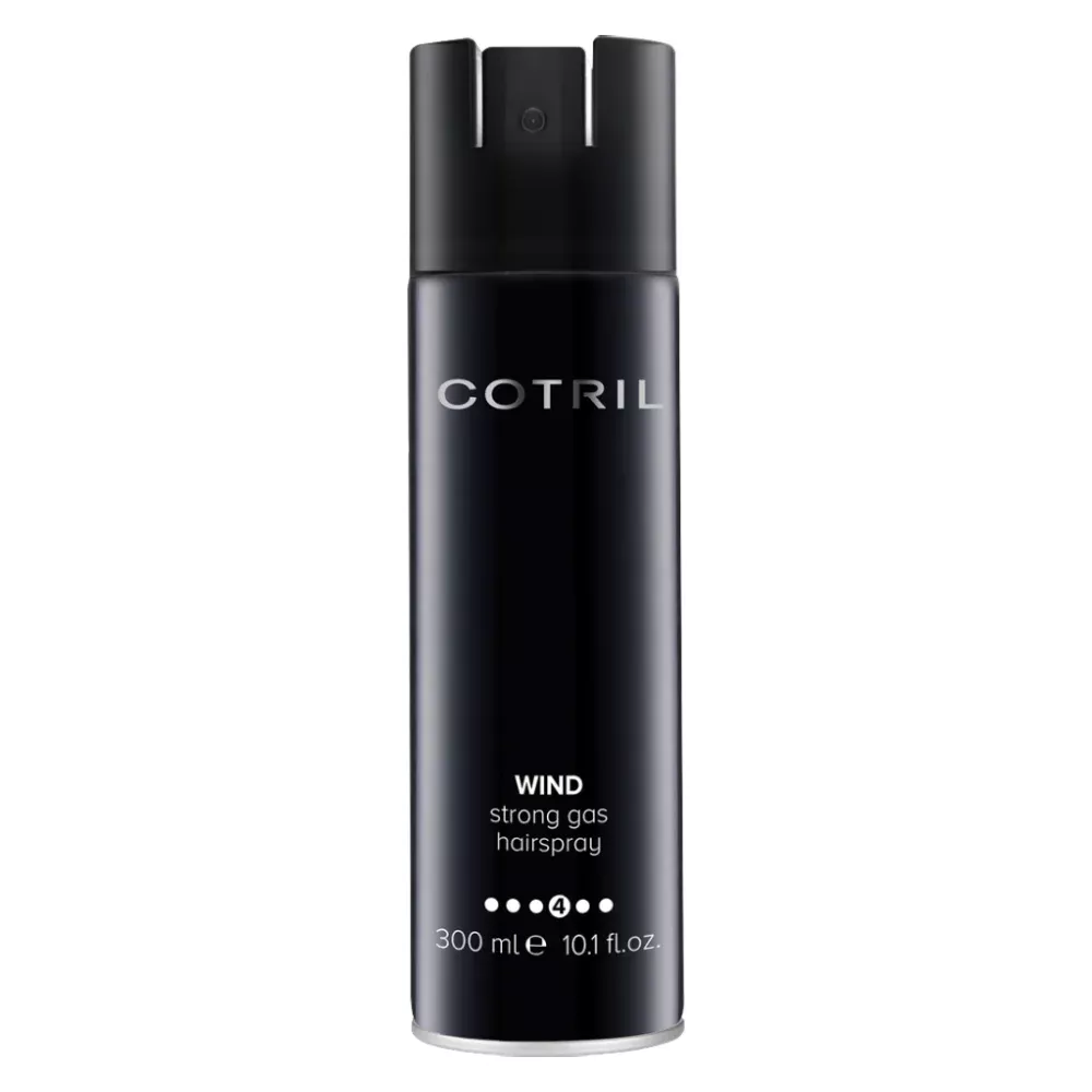 Лак сильной фиксации Wind Strong Gas Hairspray (PNCOTSY0115, 300 мл)