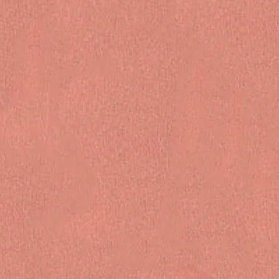 Румяна для лица Blush (420005929, 02, абрикос, 5 г)