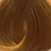 Краска для волос Botanique (KB00913, 9/13, Botanique Very Light Ash Golden Blonde, 60 мл)