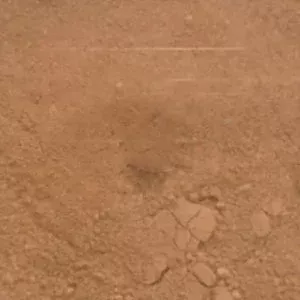 Пудра Камуфляж (AL5044, Тон 4, 10 г)