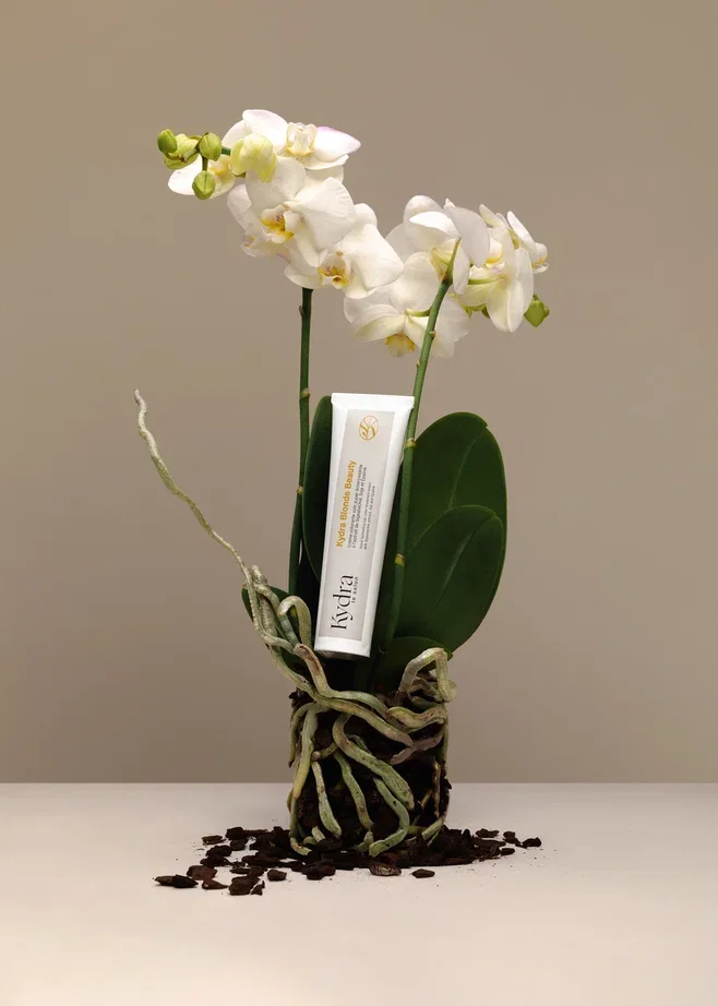 Крем-краска для волос Экстра светлый блонд Blonde Beauty Super Lightening Hair Color Treatment Cream