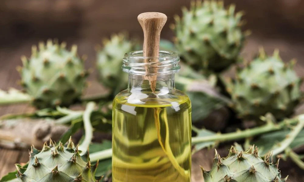 Эффективно ли репейное масло для бороды Kosmetika-proff.ru